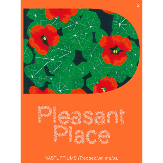 Pleasant Place: Nasturtiums