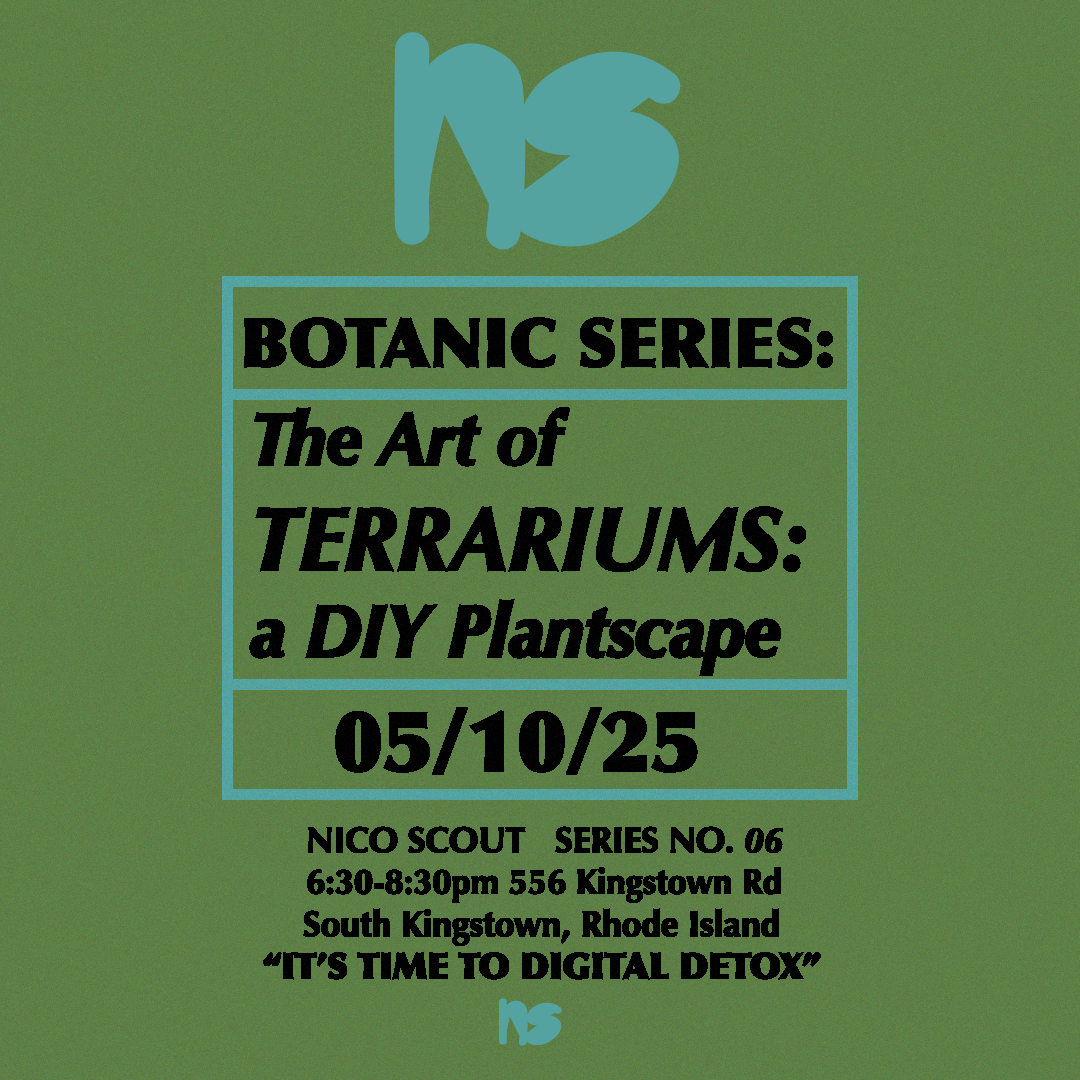 BOTANIC SERIES: The Art of Terrariums a DIY Plantscape