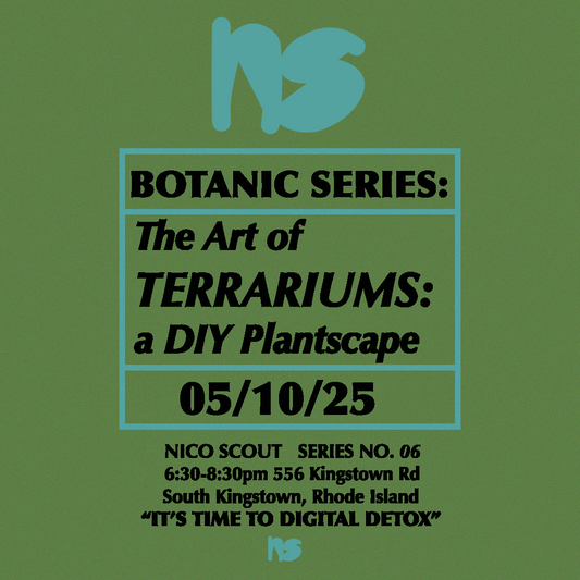 BOTANIC SERIES: The Art of Terrariums a DIY Plantscape