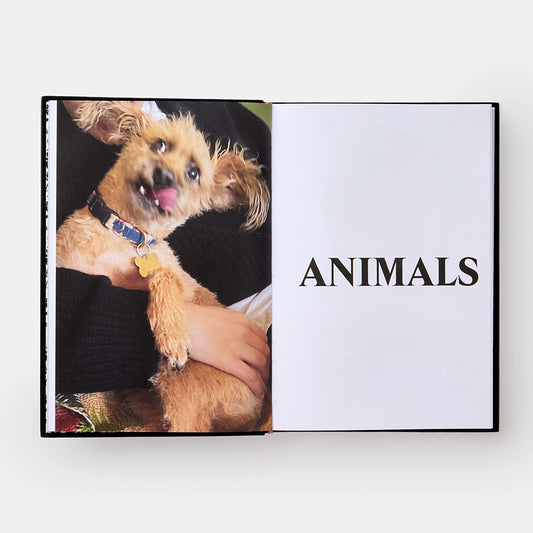 Palace Product Descriptions: Lev Tanju and Palace Skateboards