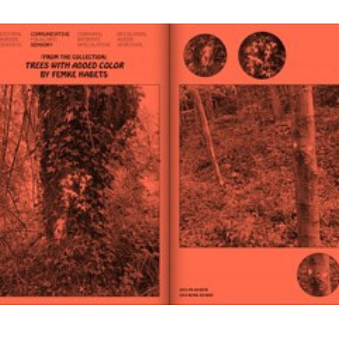 A Tree, A Reader on Arboreal Kinship