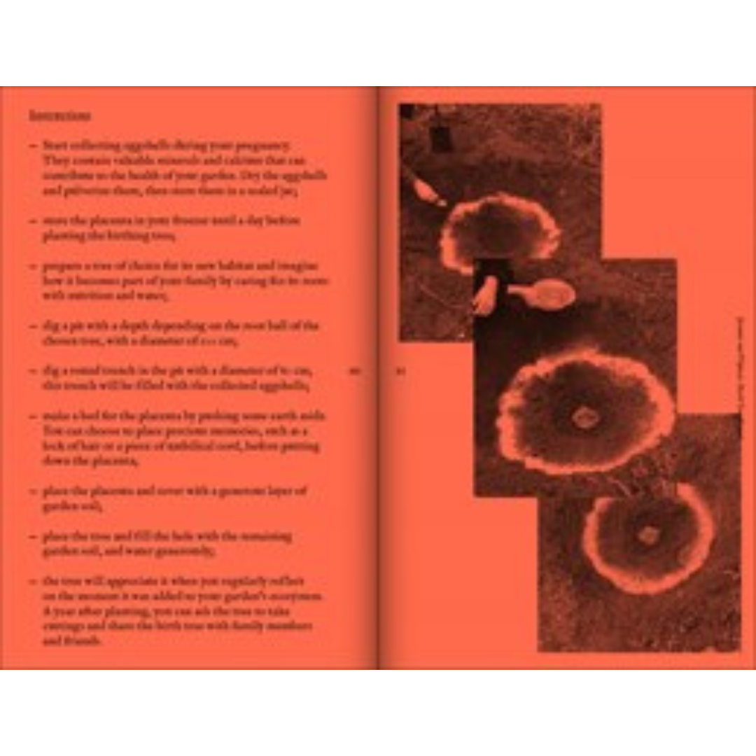 A Tree, A Reader on Arboreal Kinship