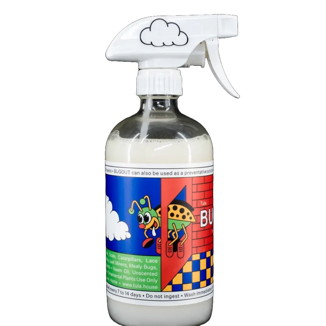Tula's Houseplant Bugout Spray