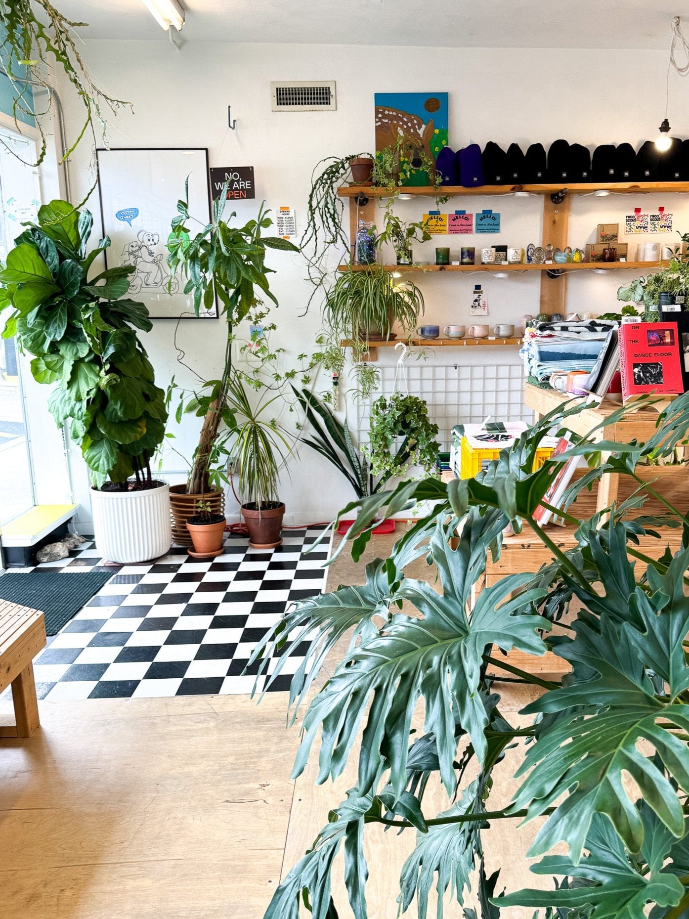 On-Site Houseplant Consultation