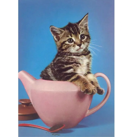 Cat In Teapot Postcard