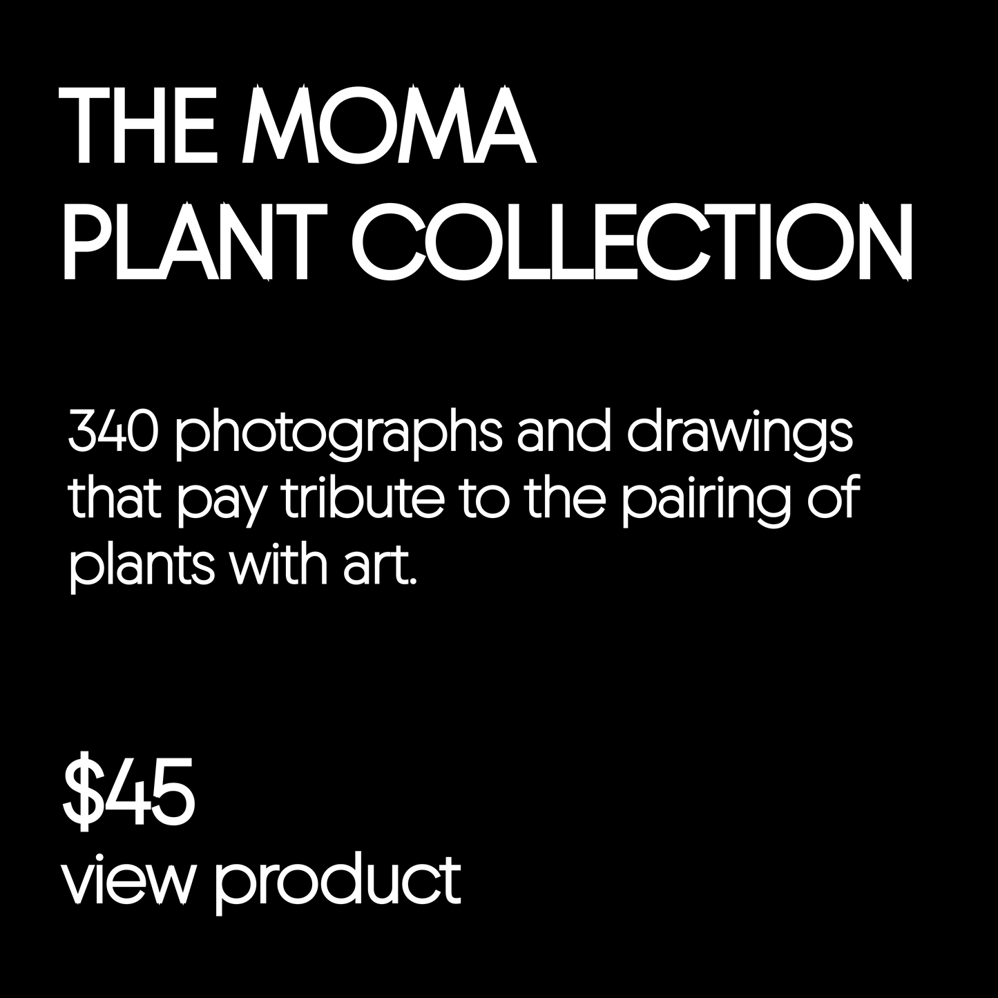 The Moma Plant Collection