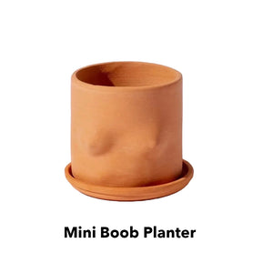 Boob Terracotta Pot - Mini