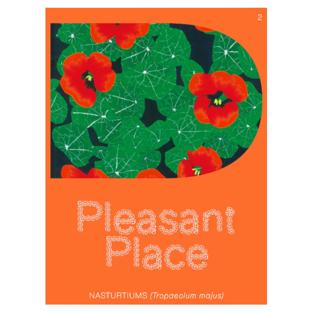 Pleasant Place: Nasturtiums