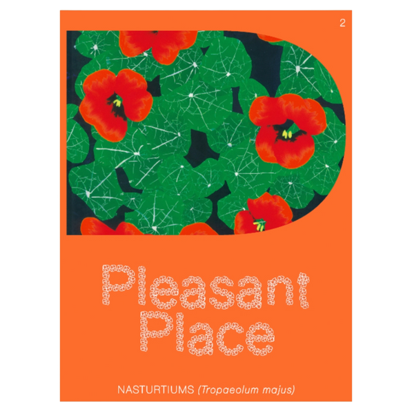 Pleasant Place: Nasturtiums