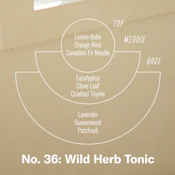 Wild Herb Tonic Incense | 15 Sticks