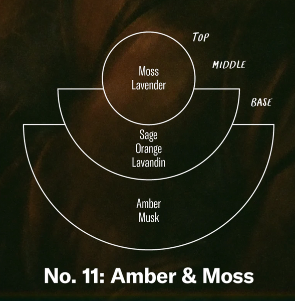 Amber & Moss Incense | 15 Sticks