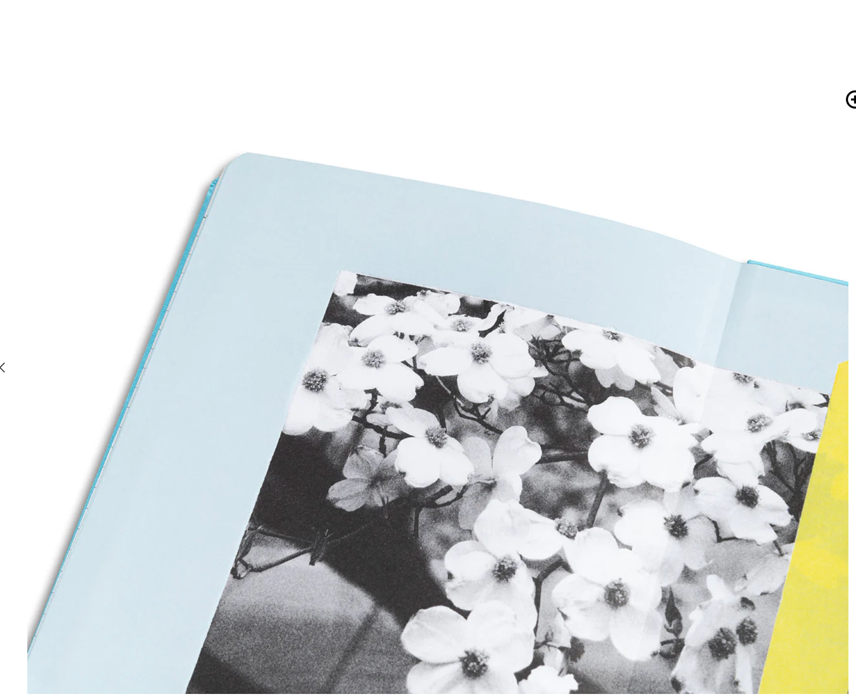 Open book with a page showing a black and white photo of flowers on a light blue background